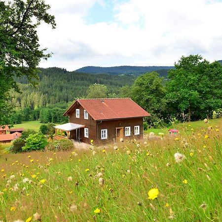 Comfort Apartment With Balcony In The Beautiful Bavarian Forest Drachselsried Eksteriør billede