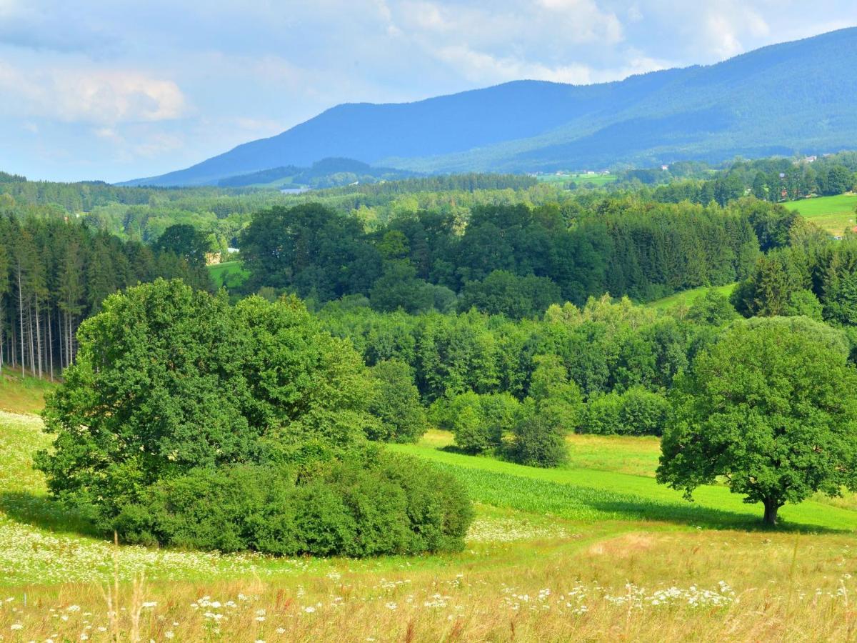Comfort Apartment With Balcony In The Beautiful Bavarian Forest Drachselsried Værelse billede