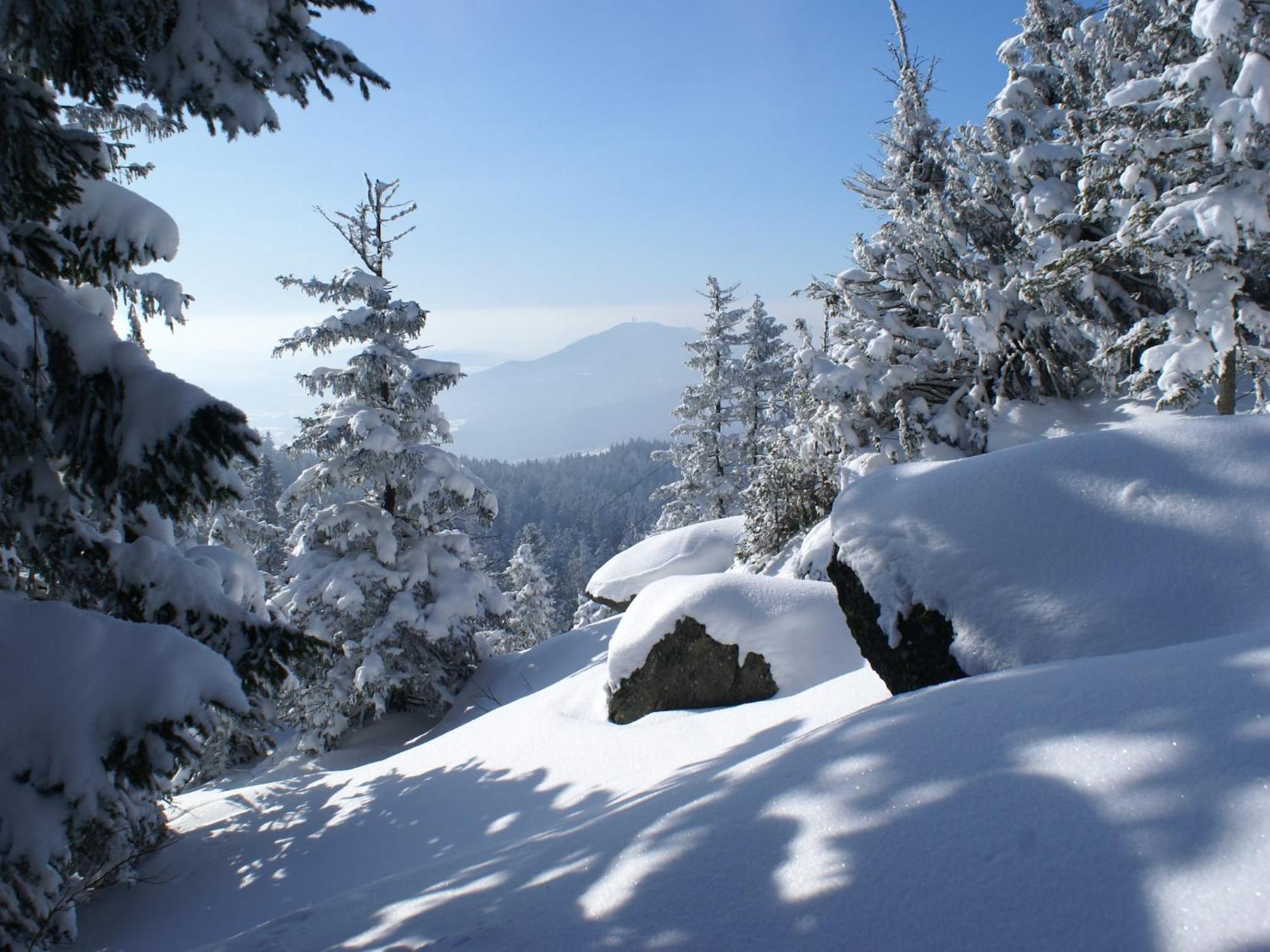 Comfort Apartment With Balcony In The Beautiful Bavarian Forest Drachselsried Eksteriør billede