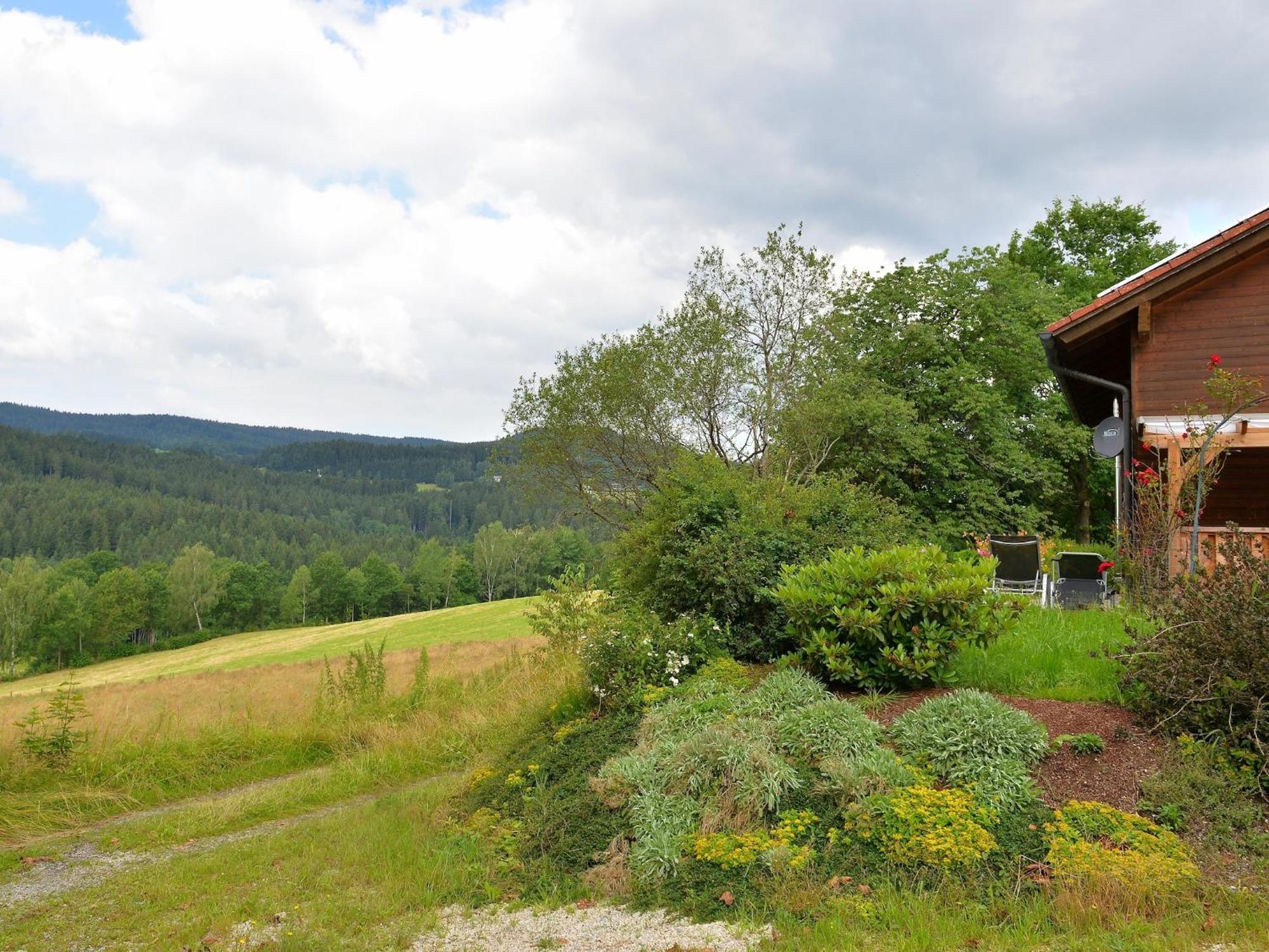 Comfort Apartment With Balcony In The Beautiful Bavarian Forest Drachselsried Eksteriør billede