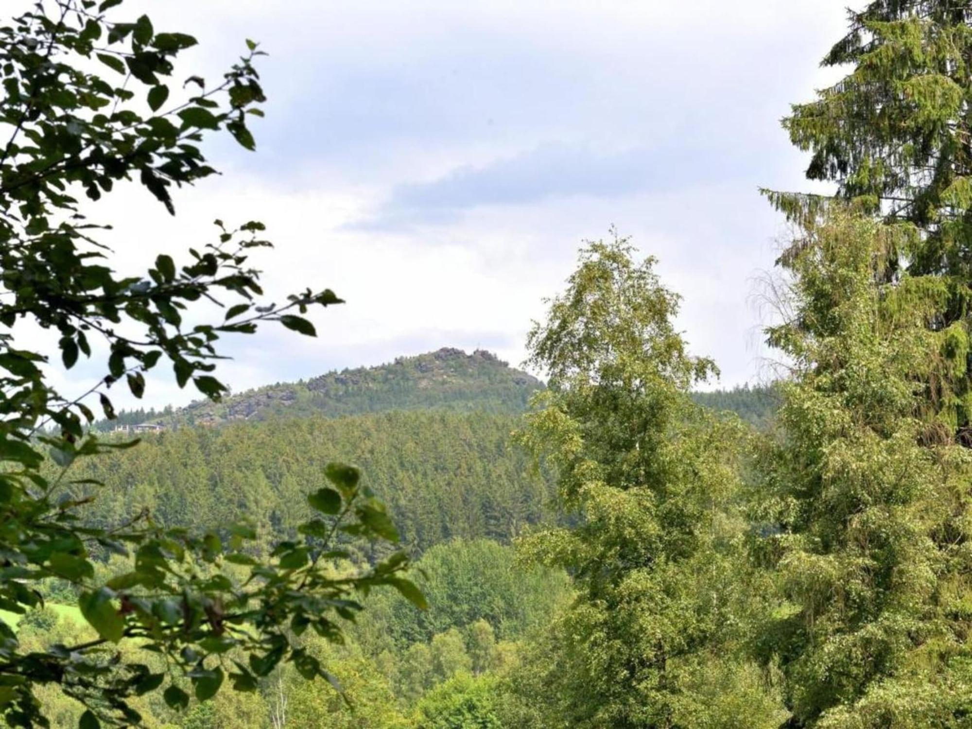 Comfort Apartment With Balcony In The Beautiful Bavarian Forest Drachselsried Eksteriør billede