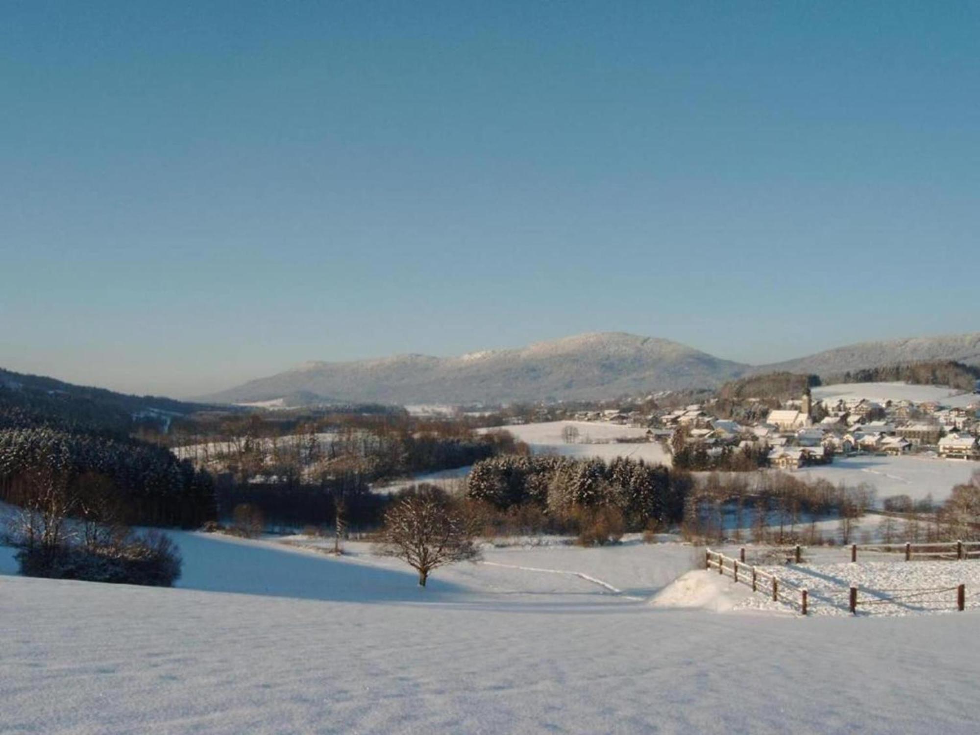 Comfort Apartment With Balcony In The Beautiful Bavarian Forest Drachselsried Eksteriør billede