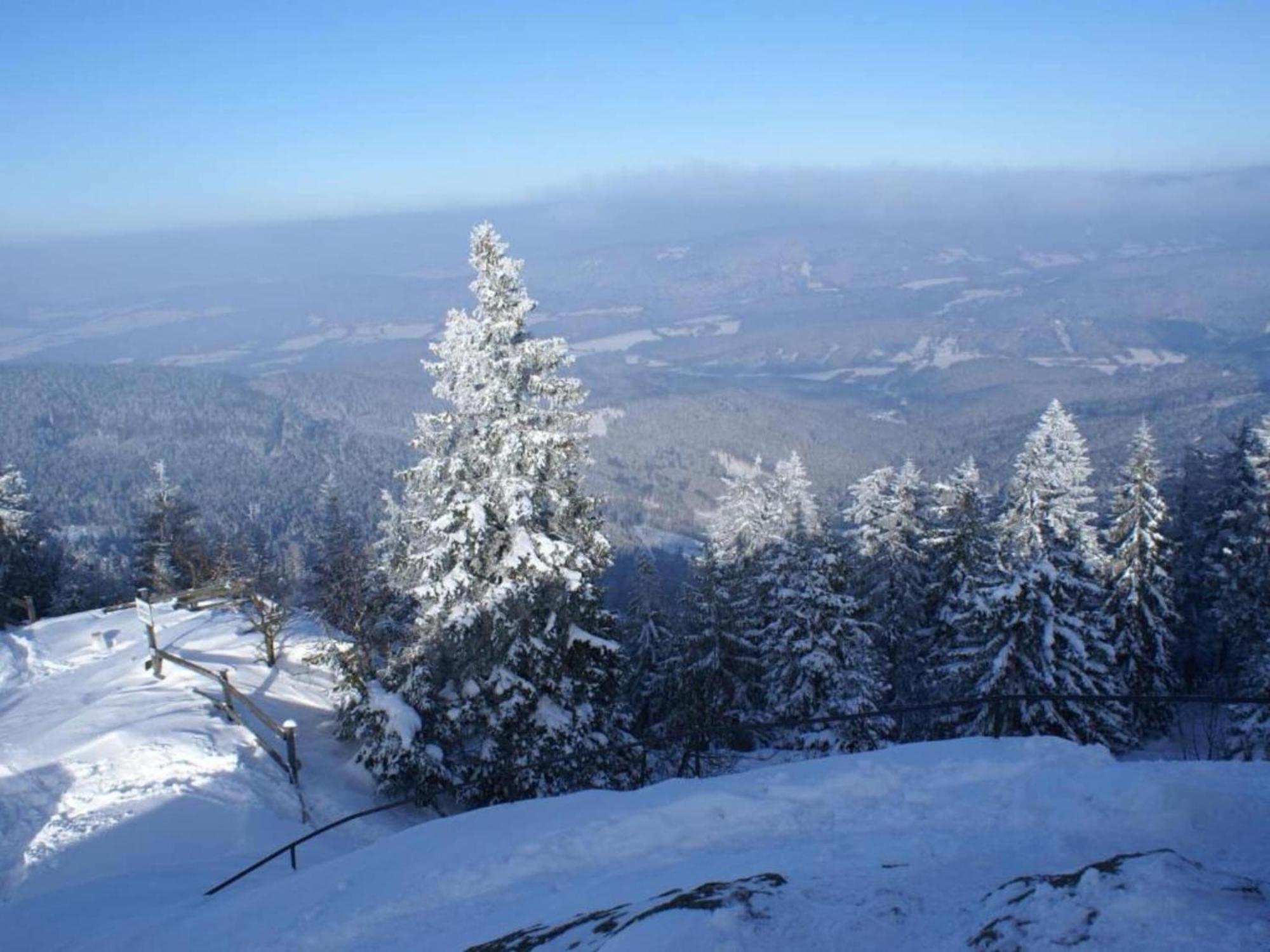 Comfort Apartment With Balcony In The Beautiful Bavarian Forest Drachselsried Eksteriør billede