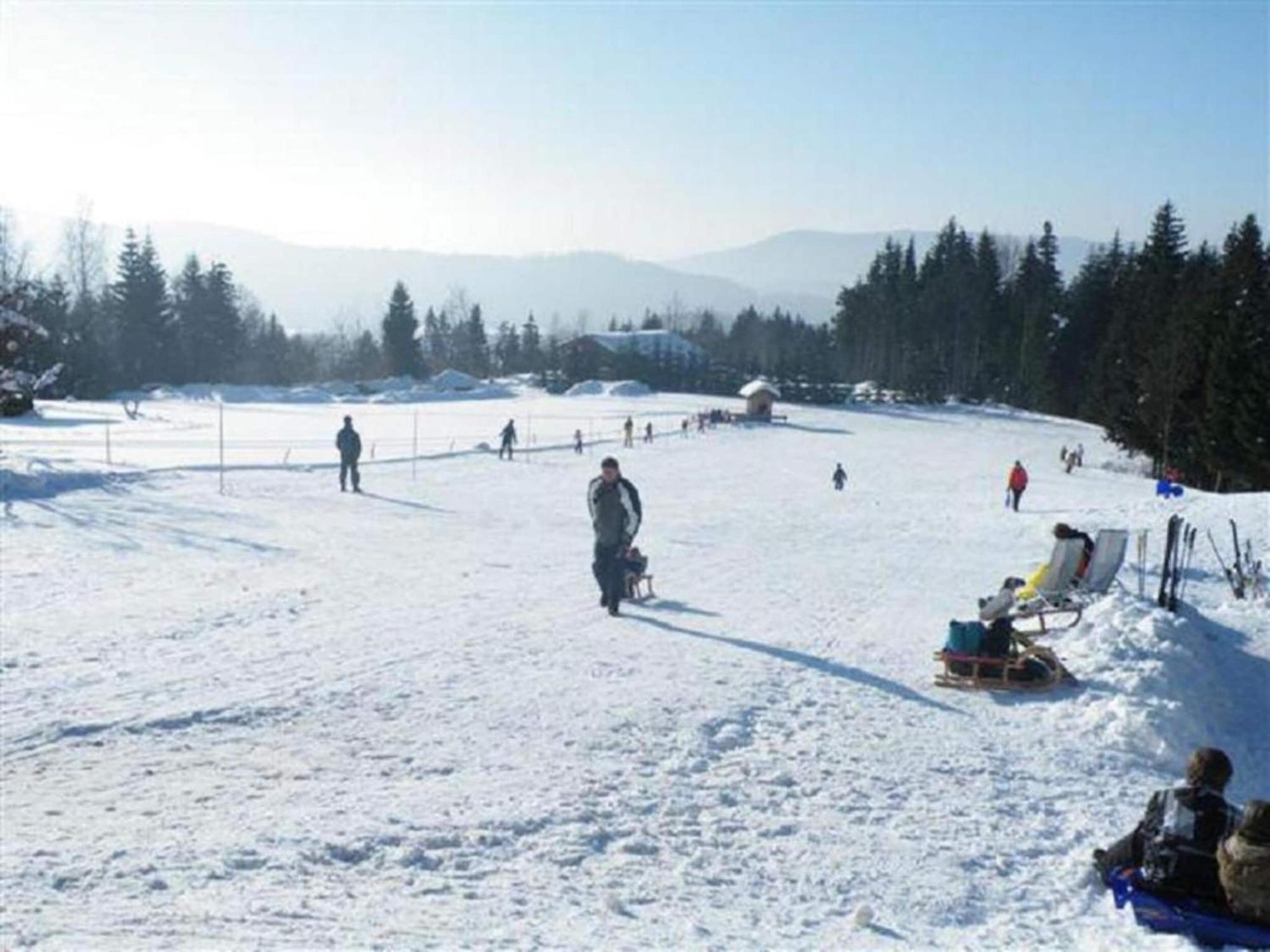 Comfort Apartment With Balcony In The Beautiful Bavarian Forest Drachselsried Eksteriør billede