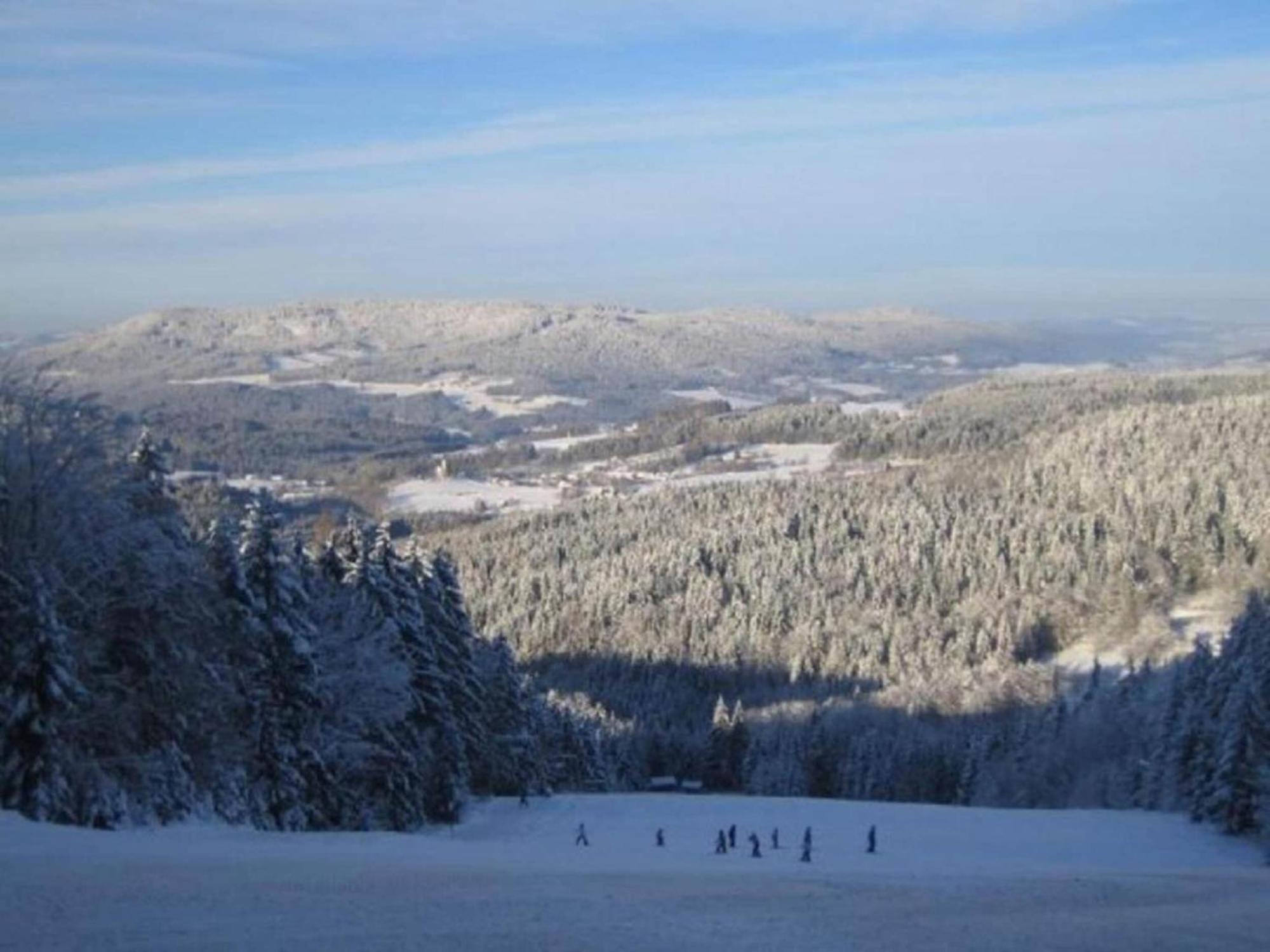 Comfort Apartment With Balcony In The Beautiful Bavarian Forest Drachselsried Eksteriør billede