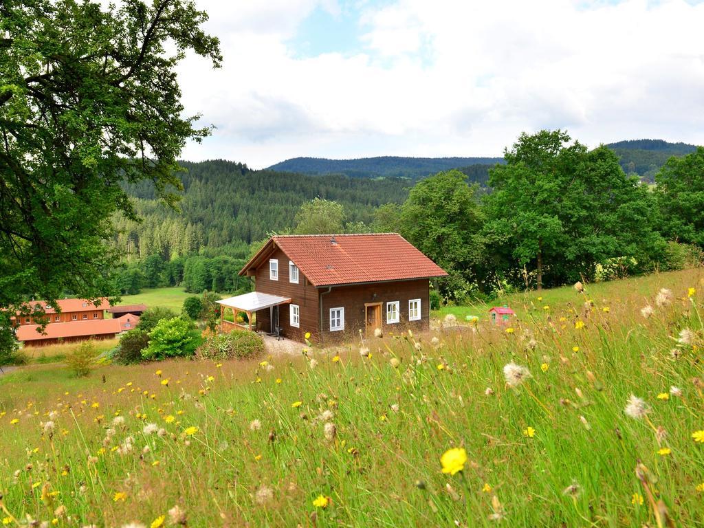 Comfort Apartment With Balcony In The Beautiful Bavarian Forest Drachselsried Eksteriør billede