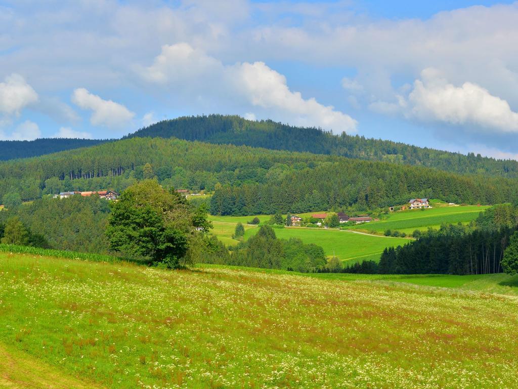 Comfort Apartment With Balcony In The Beautiful Bavarian Forest Drachselsried Eksteriør billede
